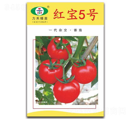 �t��5̖-���ѷN��-�����r(n��ng)�I(y��)