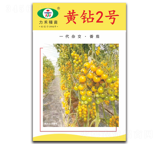 �S�@2̖-���ѷN��-�����r(n��ng)�I(y��)