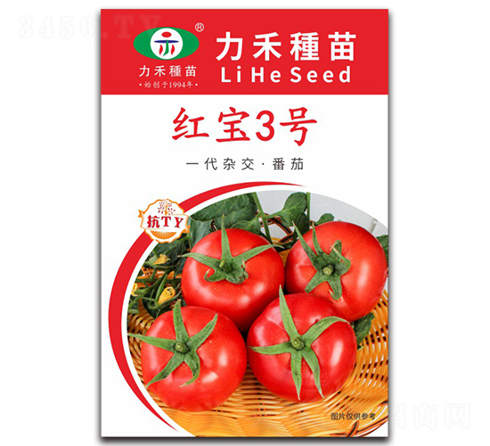 �t��3̖-���ѷN��-�����r�I(y��)