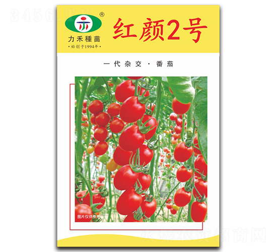 �t�2̖(h��o)-���ѷN��-�����r(n��ng)�I(y��)