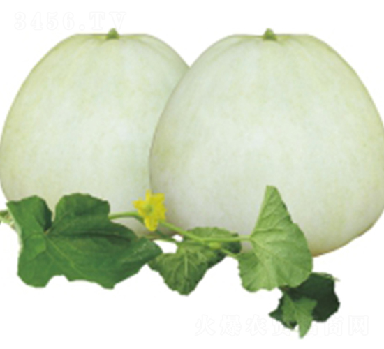 ����-��ϷN��-�����r(n��ng)�I(y��)