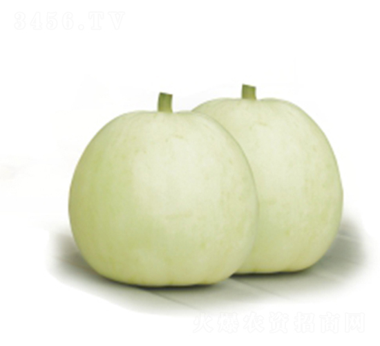 ����-��ϷN��-�����r(n��ng)�I(y��)