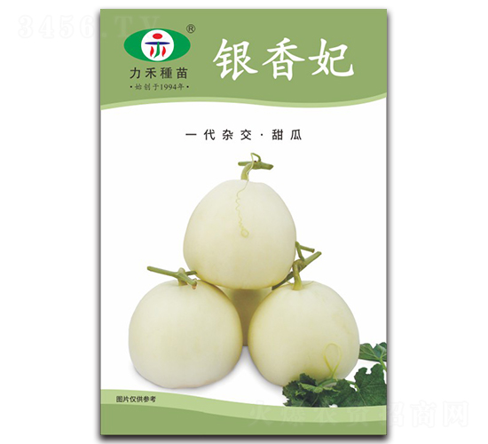 �y����-��ϷN��-�����r(n��ng)�I(y��)