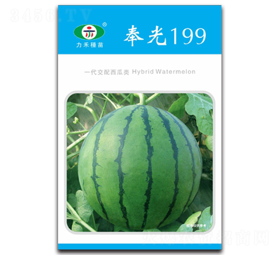 ���199-���ϷN��-�����r(n��ng)�I(y��)