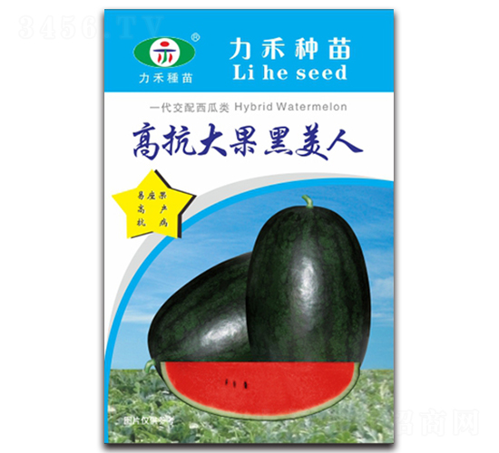 �߿����������-���ϷN��-�����r(n��ng)�I(y��)