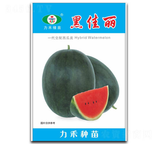 �ڼ���-���ϷN��-�����r(n��ng)�I(y��)