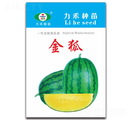 ���-���ϷN��-�����r(n��ng)�I(y��)