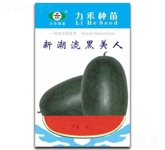 �³���������-���ϷN��-�����r(n��ng)�I(y��)