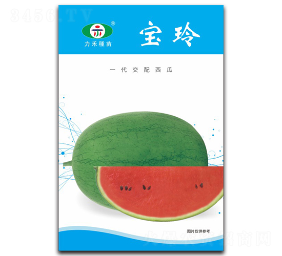 ����-���ϷN��-�����r(n��ng)�I(y��)