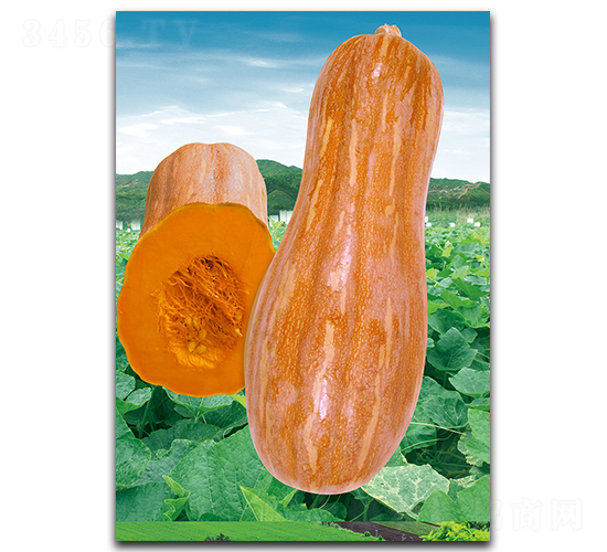 �������-�ϹϷN��-�������r(n��ng)�I(y��)