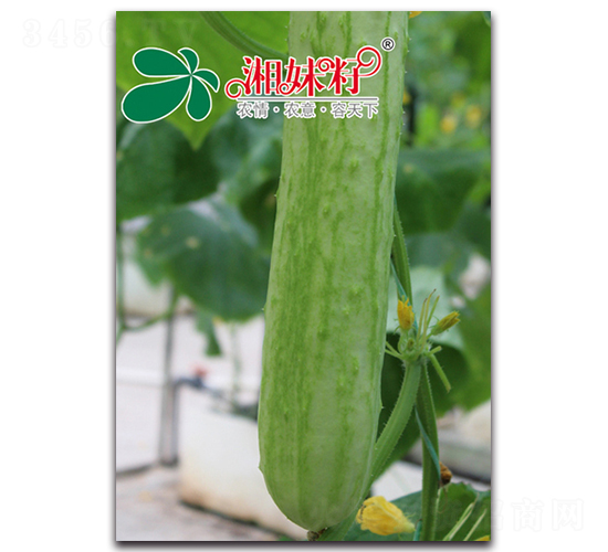 �߈@��̖(h��o)-�S�ϷN��-�������r(n��ng)�I(y��)