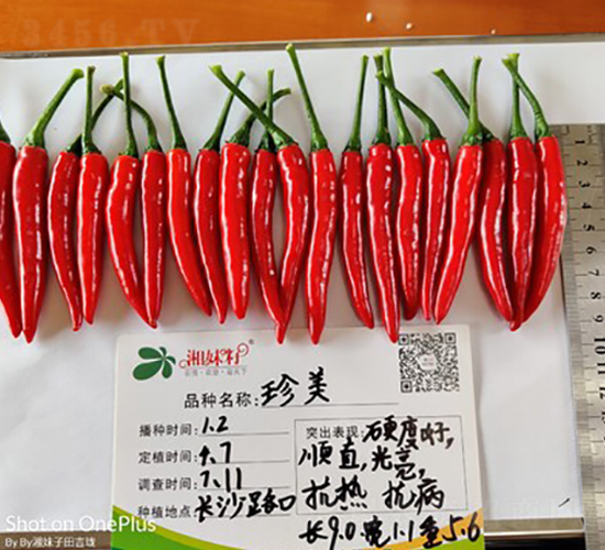 ����-�����N��-�������r(n��ng)�I(y��)