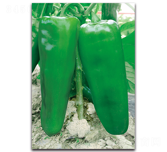 ��������-�����N��-�������r(n��ng)�I(y��)