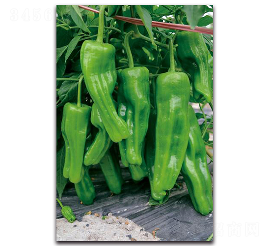 ���-�����N��-�������r(n��ng)�I(y��)