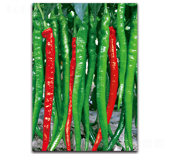 �L��-�����N��-�������r(n��ng)�I(y��)