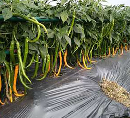 �����ʹ�-�����N��-�������r(n��ng)�I(y��)