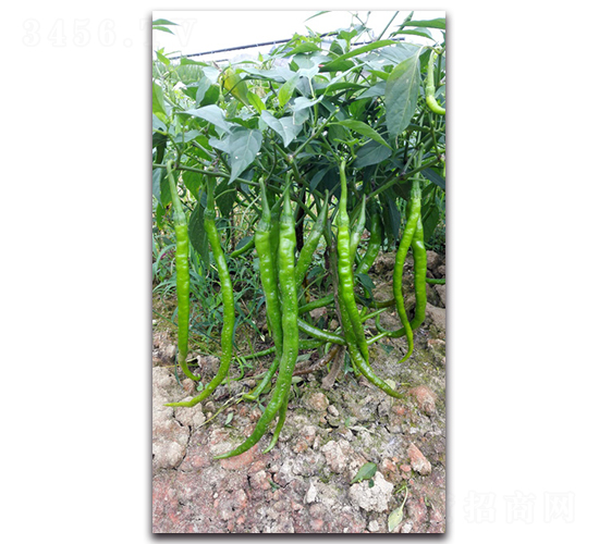 ����102-�����N��-�������r(n��ng)�I(y��)