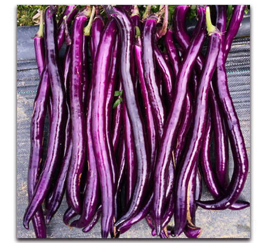 �\��-���ӷN��-�������r(n��ng)�I(y��)