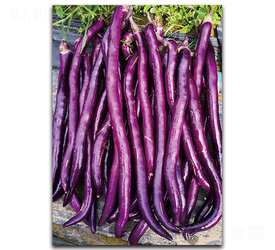 ��(y��u)��-���ӷN��-�������r(n��ng)�I(y��)