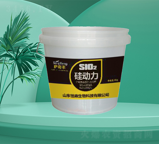 ���(d��ng)��-�㶦����