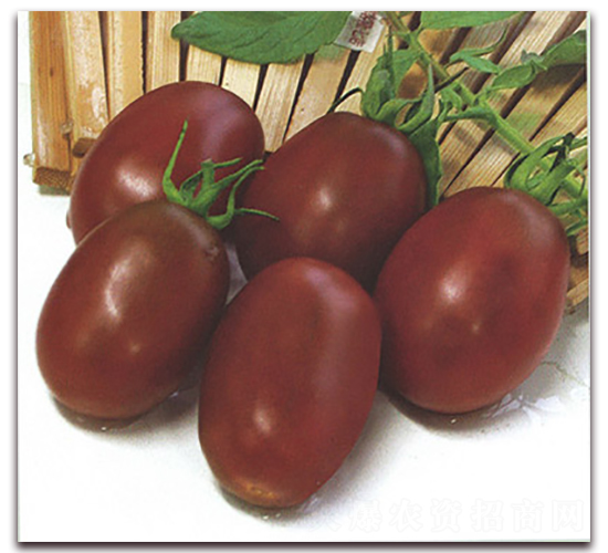 ��õ��-���ѷN��-����