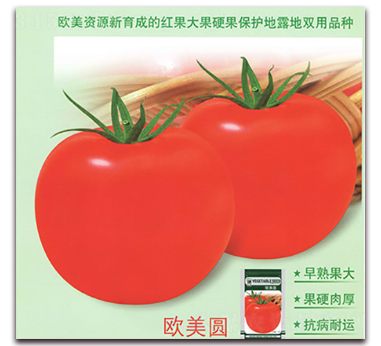 �W���A-���ѷN��-����