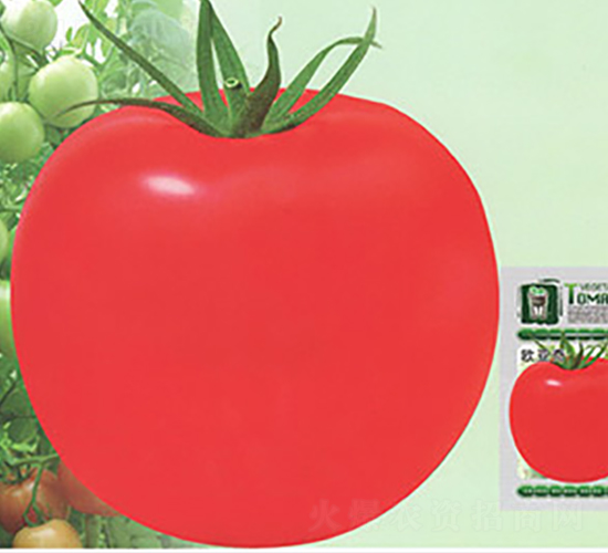 �W����-���ѷN��-����