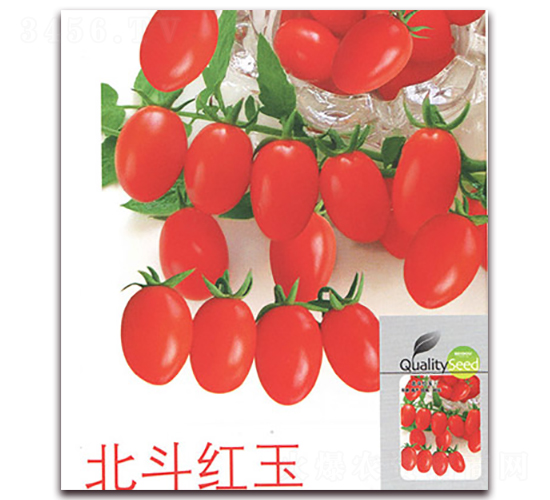 �����t��-���ѷN��-����