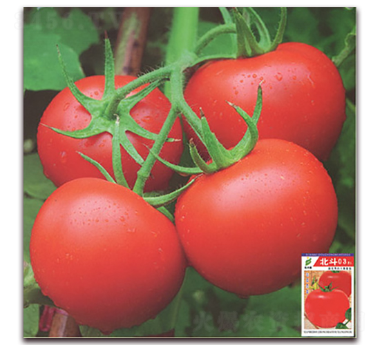 ����03-���ѷN��-����