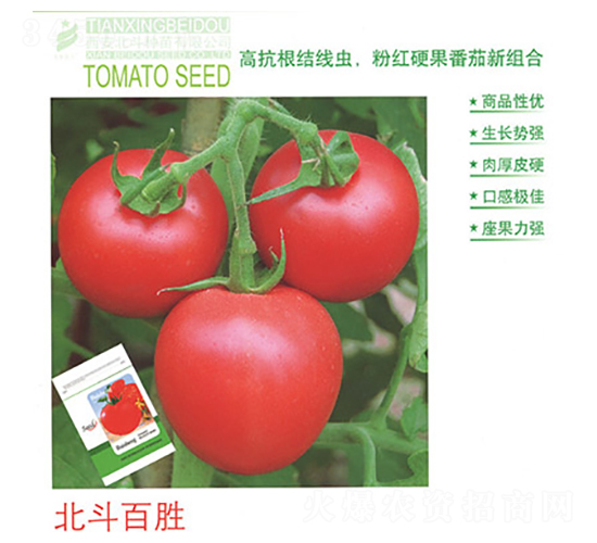 �����ل�-���ѷN��-����