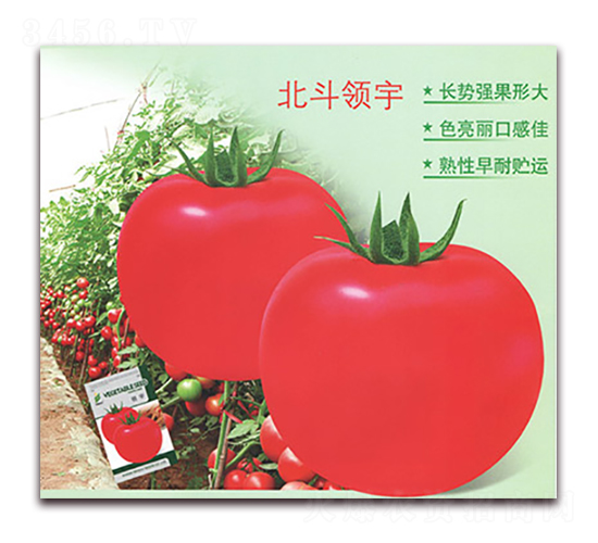 �����I(l��ng)��-���ѷN��-����