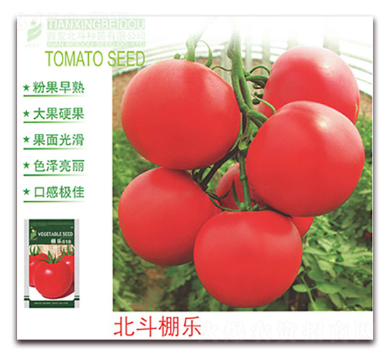 �����(l��)-���ѷN��-����