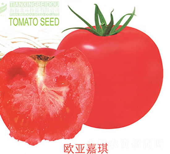 �W������-���ѷN��-����