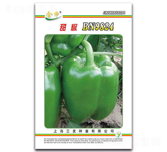 ��BN9824-�����N��-����