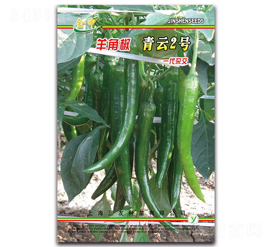 ����2̖-�����N��-����