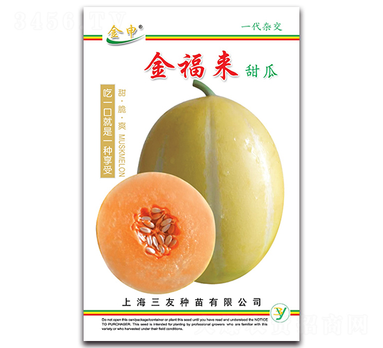 �𸣁�(l��i)���-��ϷN��-����