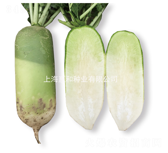 ����-�}���N��-�ݺͷN�I(y��)