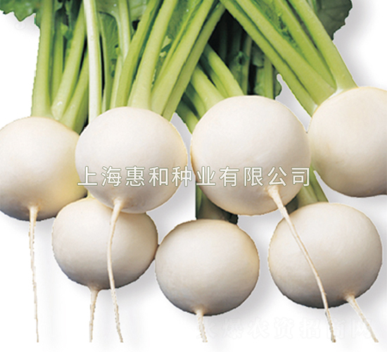 �G��-�}���N��-�ݺͷN�I(y��)