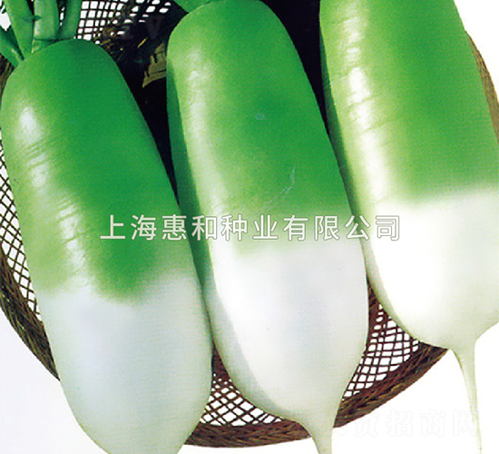 ���S-�}���N��-�ݺͷN�I(y��)