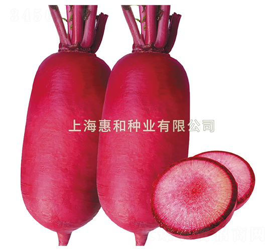 �t����-�}���N��-�ݺͷN�I(y��)