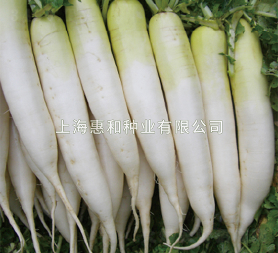 ����-�}���N��-�ݺͷN�I(y��)