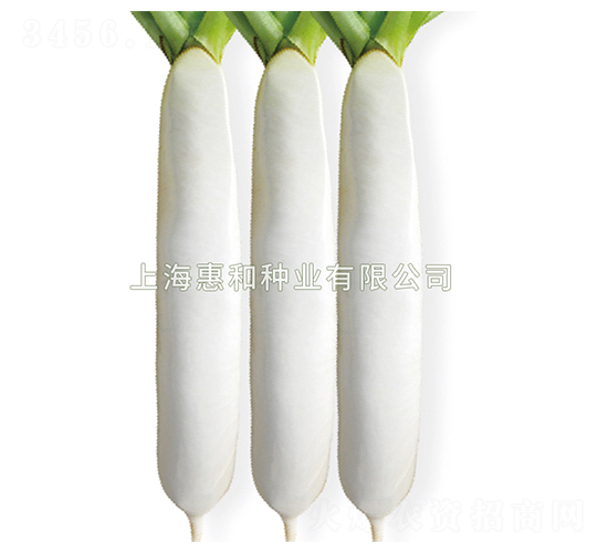 ��ɶ�̖-�}���N��-�ݺͷN�I(y��)