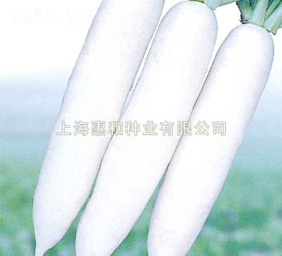 ����ʹ-�}���N��-�ݺͷN�I(y��)