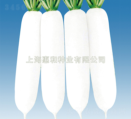 ����ʹ-�}���N��-�ݺͷN�I(y��)