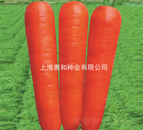 �t��107-���}���N��-�ݺͷN�I(y��)