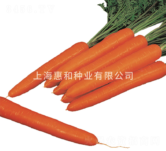 ؐ��-���}���N��-�ݺͷN�I(y��)