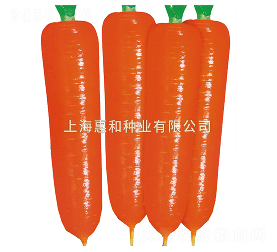 �tʥʮ̖(h��o)-���}���N��-�ݺͷN�I(y��)