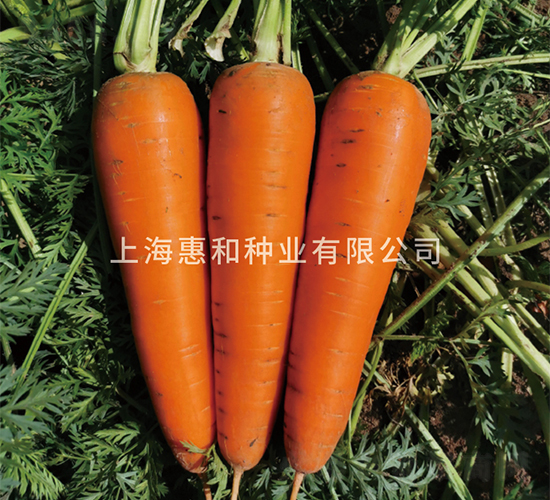 ������-���}���N��-�ݺͷN�I(y��)