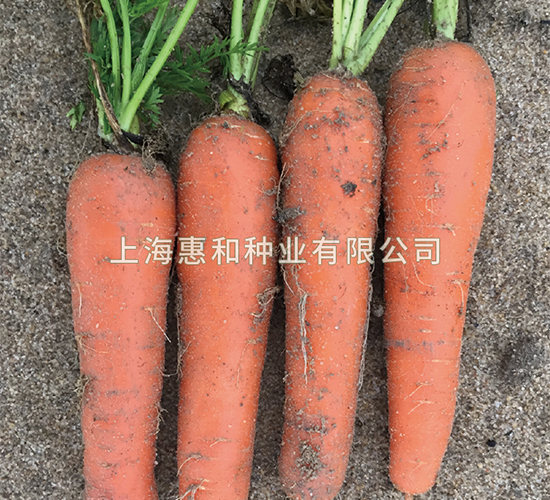 �tʥ��̖-���}���N��-�ݺͷN�I(y��)