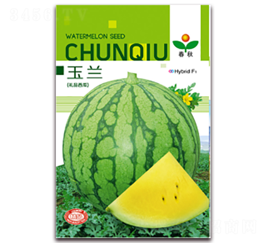 ���m-���ϷN��-����N�I(y��)